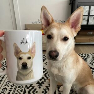 Custom Pet Mug Customized Pet Mug, Custom Cat Mug Dog Mug, Personalized Coffee Mug, Dog Lover Coffee Mug Personalize Pet Mugs Dog Lover Gift